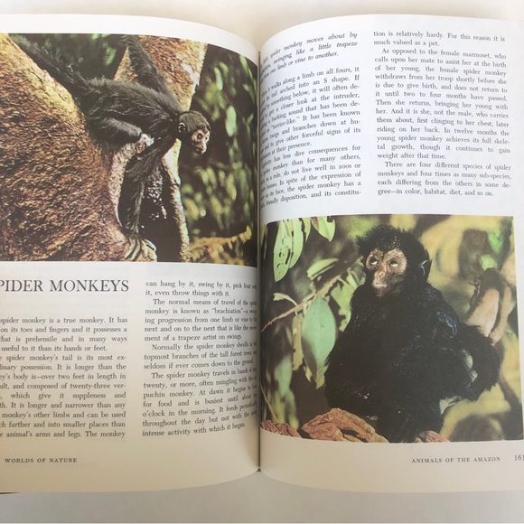 Vintage Disney Books ✨ c.1967 ✨ Set of 4 - Picture 11 of 16